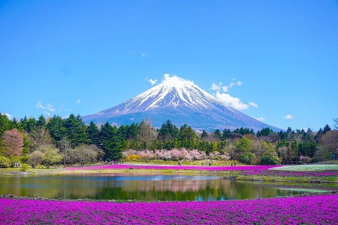 Private Mount Fuji Tours with Car Pickup from Tokyo - Key points to know before you book