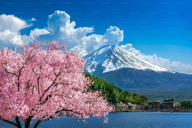 Private Mount Fuji Tours with Car Pickup from Tokyo - A private way to reach Mount Fuji from Tokyo