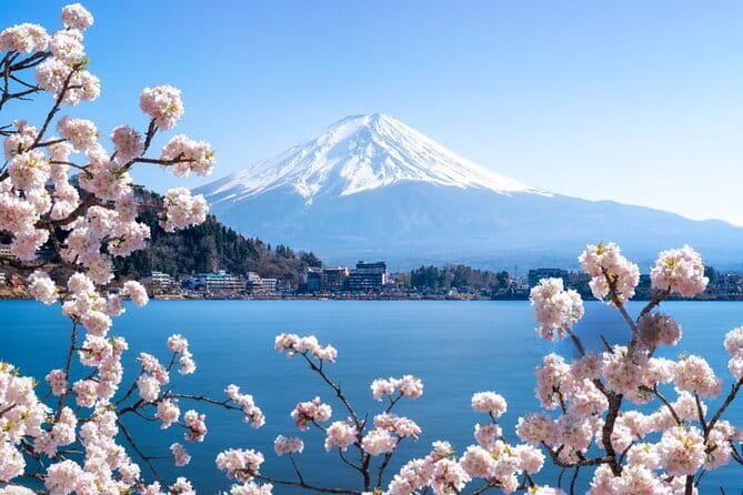 Private Mount Fuji Tours with Car Pickup from Tokyo - Oishi Park for lake and mountain views together