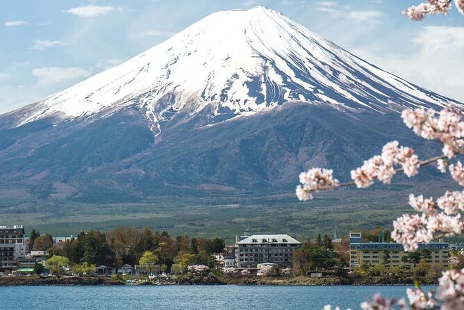 Private Mt. Fuji Custom Tour from Tokyo - Why a private Mt. Fuji day can work so well