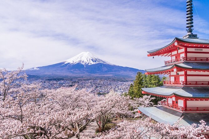 Private Mt. Fuji Custom Tour from Tokyo - Lake Kawaguchiko gives the day breathing room