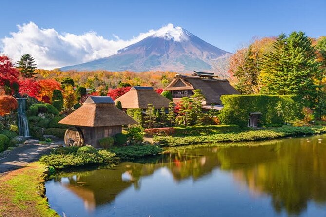 Private Mt. Fuji Custom Tour from Tokyo - The driver distinction matters more than the vehicle