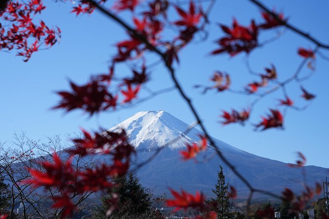 Private Mt. Fuji Day Trip from Tokyo with English-Speaking Driver - Kachi-Kachi Ropeway adds height, at an extra cost