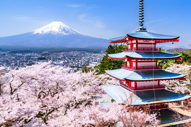 Private Mt. Fuji Day Trip from Tokyo with English-Speaking Driver
