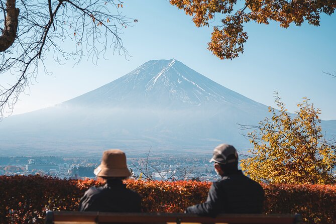 Private Mt Fuji, Hakone and Tokyo Tour - English Speaking Driver - Why this private Mt. Fuji day works