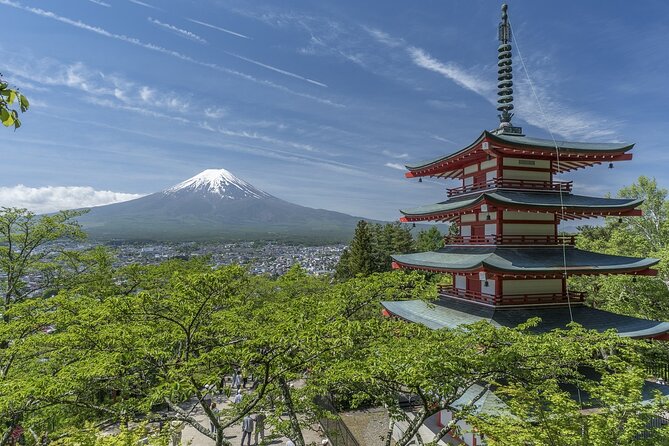 Private Mt Fuji, Hakone and Tokyo Tour - English Speaking Driver - Gotemba Premium Outlets and the shopping choice