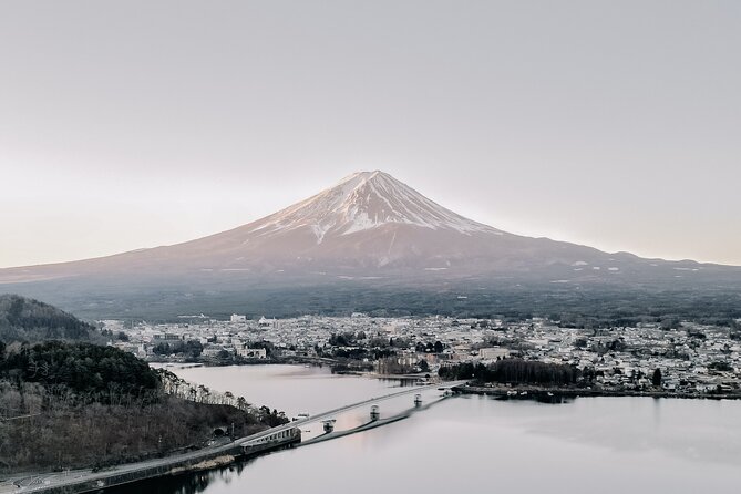 Private Mt Fuji, Hakone and Tokyo Tour - English Speaking Driver - One hour among sculpture at the Hakone Open-Air Museum
