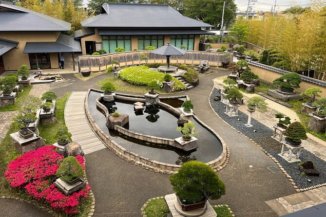 Private Omiya Bonsai Village Tour with Licensed Guide - Key points to know before you book