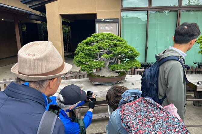 Private Omiya Bonsai Village Tour with Licensed Guide