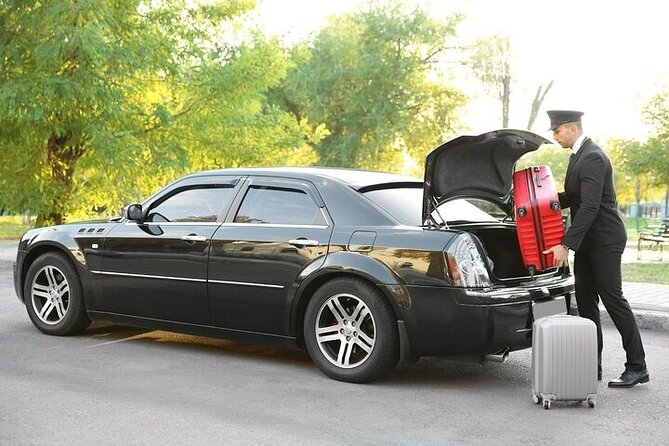 Private One-way Transfer Narita Airport To Tokyo - Who should book this transfer