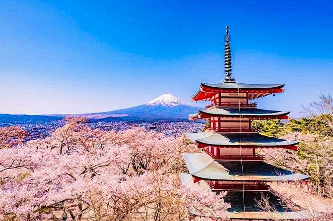 Private Sightseeing to Mt Fuji and Hakone with English Driver - A private route around Fuji, not a fixed bus schedule