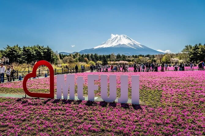 Private Sightseeing to Mt Fuji and Hakone with English Driver - Oishi Park beside Lake Kawaguchi