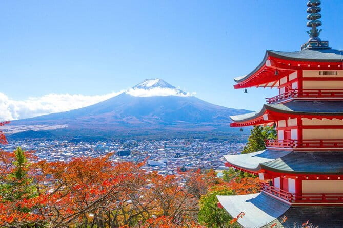 Private Sightseeing to Mt Fuji and Hakone with English Driver - Mt. Fuji’s 5th Station at 2,200 meters