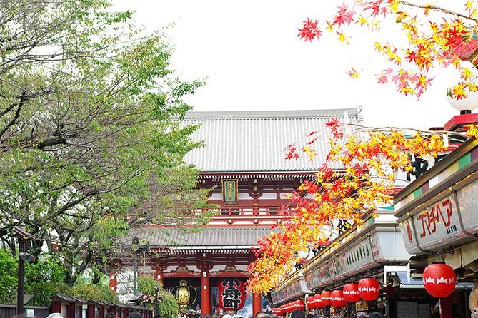 Private Tokyo Custom Full-Day Tour by Chartered Vehicle - Shibuya Crossing as the final city scene
