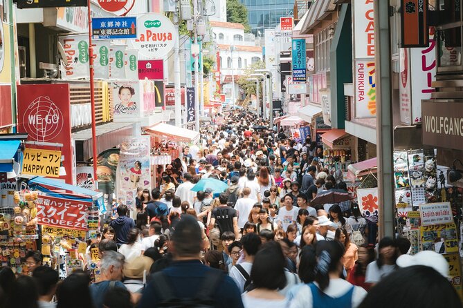 Private Tokyo Custom Full-Day Tour by Chartered Vehicle - What the private guide adds