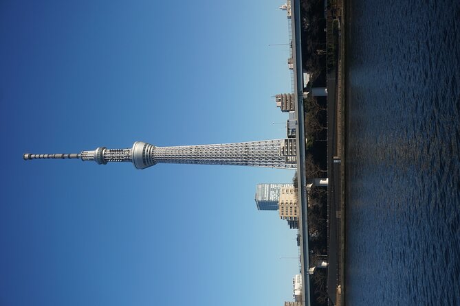 Private Tokyo Day-Tour by Car with English Speaking Guide. - Tokyo Skytree is the day’s biggest vertical view