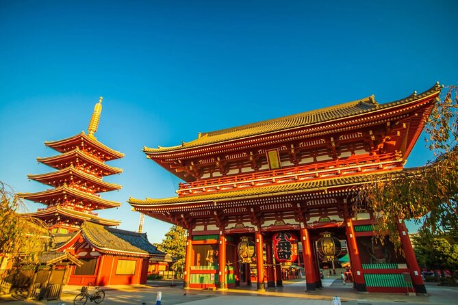 Private Tokyo Tour with English Speaking Guide - A private introduction to Tokyo’s many personalities