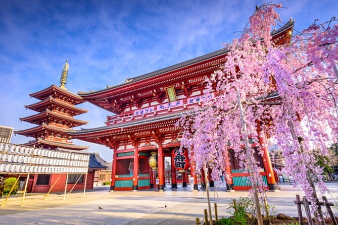 Private Tokyo Tour with English Speaking Guide - Shibuya and Harajuku: Tokyo’s modern face
