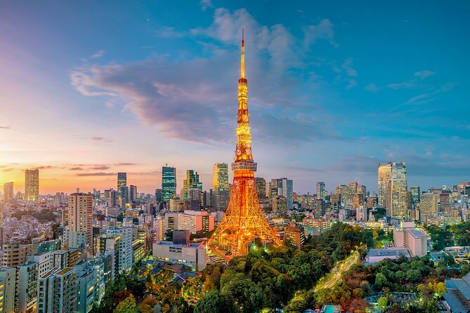 Private Tokyo Tour with English Speaking Guide - Shinjuku: skyscrapers, shopping, and a one-hour snapshot