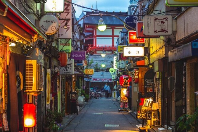 Private Tokyo Tour with English Speaking Guide - Asakusa and Senso-ji: old Tokyo in a compact visit