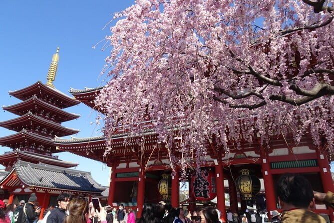 Private Tokyo with Exceptional Guide Tailored to Your Needs - A private Tokyo day that changes with your priorities