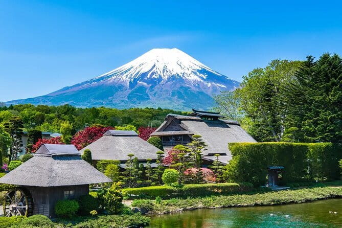 Private Tour : Experience Old Tokyo: Cultural Walk in Yanaka Nezu - Nezu Shrine and the cultural finish
