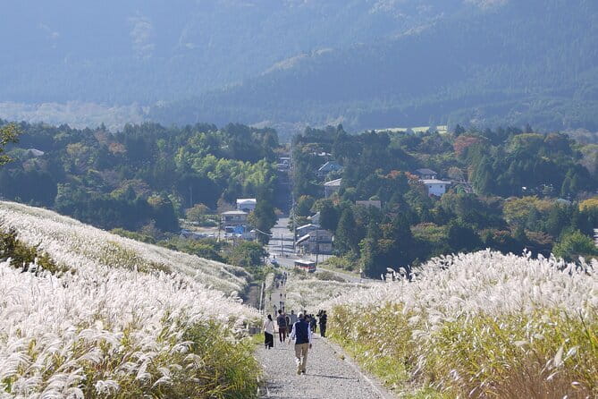 Private Tour - Hakone Day Trip! A Tour to Explore All Must-Sees! - The cable car from Sounzan to Gora