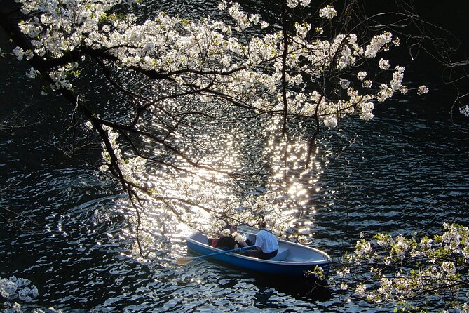 Private Tour - History, Art and Nature at the Imperial Palace - The National Museum of Modern Art
