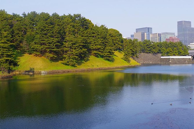 Private Tour - History, Art and Nature at the Imperial Palace - Lunch at Café 33 in Kitanomaru Park
