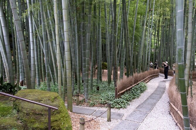Private Tour in Kamakura: Matcha Tea Tasting & Photo Session - A quieter way to see Kamakura
