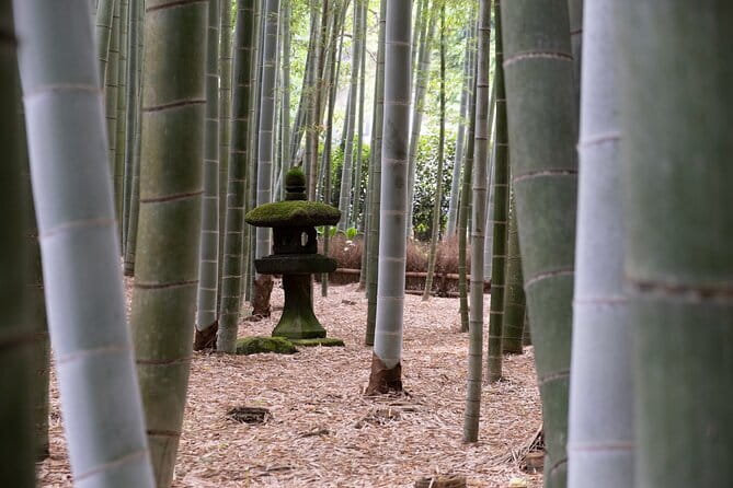 Private Tour in Kamakura: Matcha Tea Tasting & Photo Session - Walking, buses, and the morning pace
