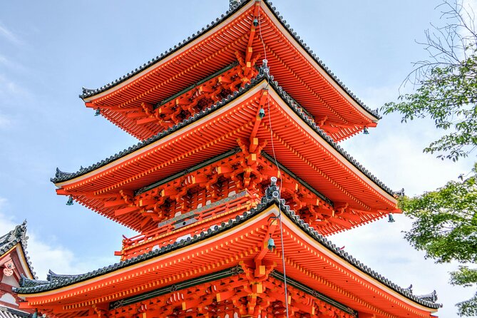 Private Tour in Tokyo with English speaking driver - Meiji Jingu, Yoyogi Park, and Takeshita Street