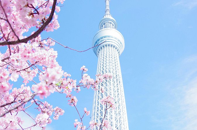 Private Tour in Tokyo with English speaking driver - Ueno Park and the option to slow down