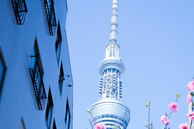 Private Tour in Tokyo with English speaking driver - Tokyo Skytree and the cost of going up