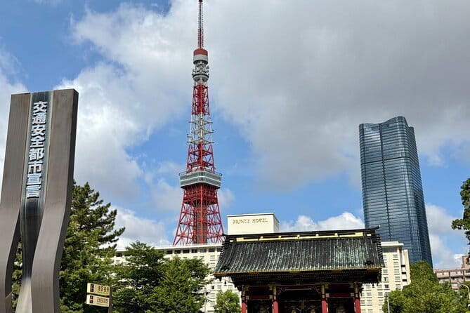Private Tour in Tokyo with Local Guide - Harajuku from Takeshita Street to Meiji Shrine