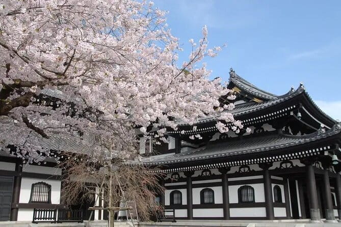 Private Tour Kamakura Yokohama Day Trip English speaking driver - The Great Buddha at Kotoku-in