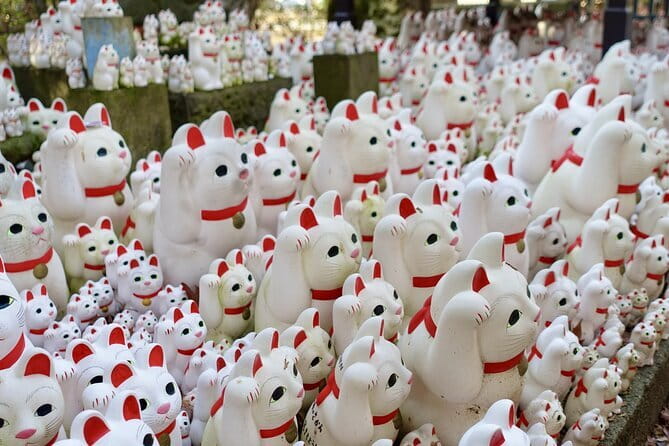 Private Tour - Thousands of lucky cats! Go by tram, Gotokuji Tour - Key points to know before you book