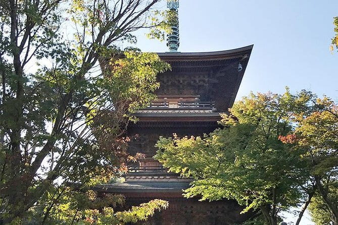 Private Tour - Thousands of lucky cats! Go by tram, Gotokuji Tour - Why the cat-filled Gotokuji route works