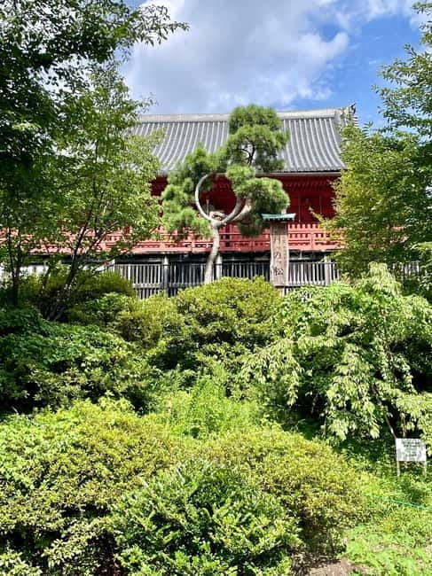 Private Tour Through the Tokyo National Museum & Ukiyo-e - Practical timing, clothing, and museum manners