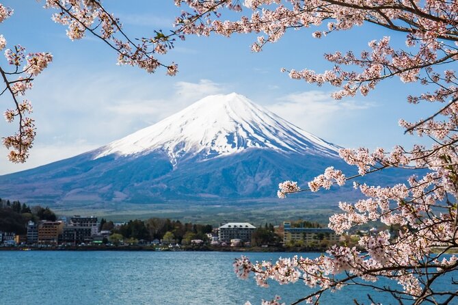 Private tour to Mount Fuji and Hakone from Tokyo - Key points to know before booking