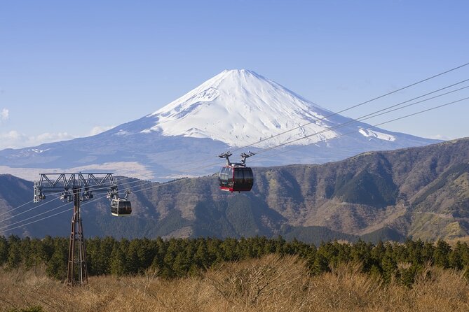 Private tour to Mount Fuji and Hakone from Tokyo - A cedar-lined shrine explains Fuji’s sacred side
