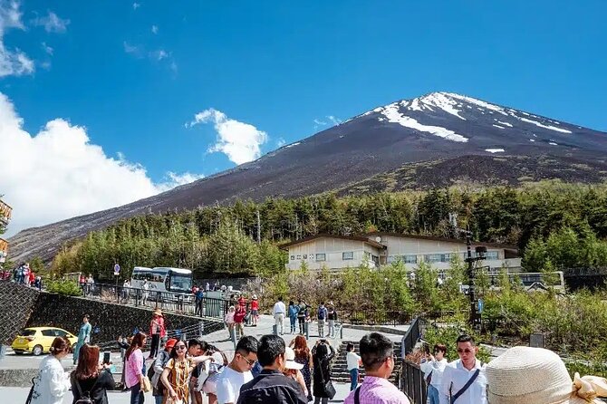 Private tour to Mount Fuji and Hakone from Tokyo - Oishi Park is a short but photogenic stop