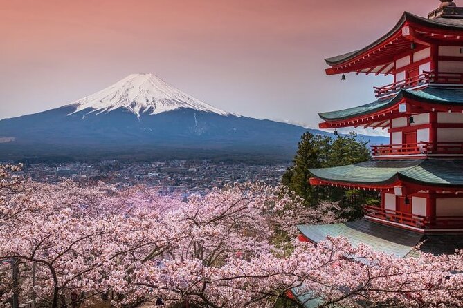 Private tour to Mount Fuji and Hakone from Tokyo - Oshino Hakkai adds water, village charm, and a slower pace