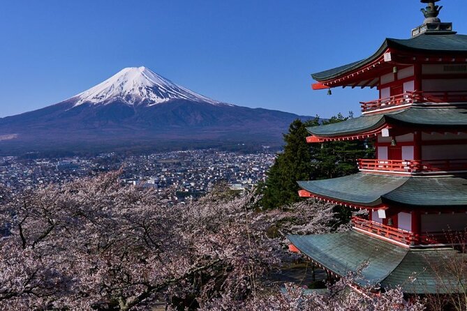 Private tour to Mount Fuji with an English driver from Tokyo - A private route to Fuji from Tokyo