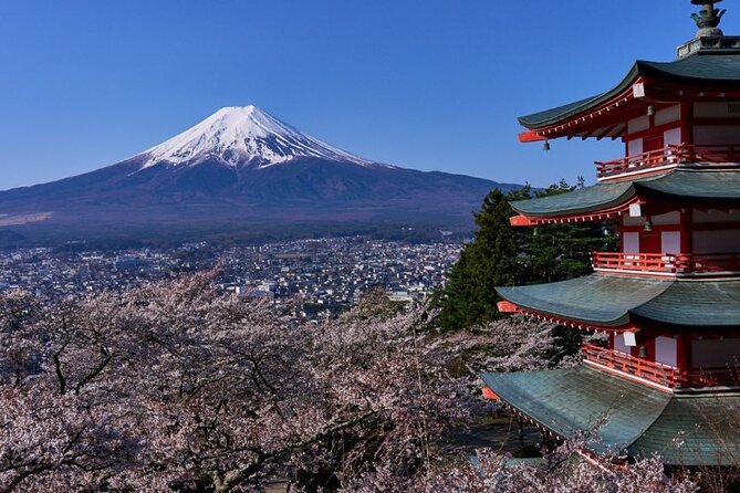 Private tour to Mount Fuji with an English driver from Tokyo - Mount Fuji 5th Station and the mountain’s spiritual side