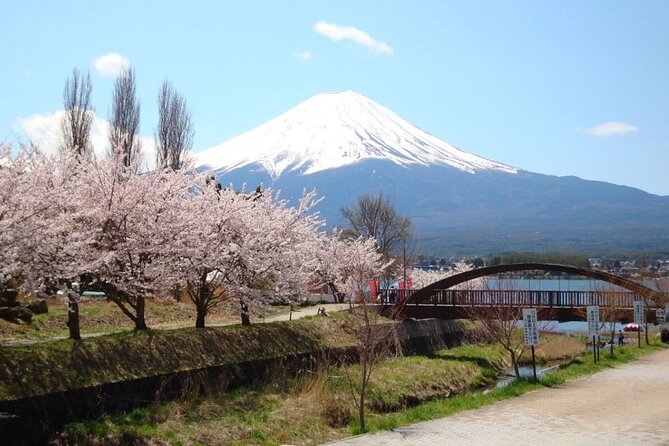 Private tour to Mount Fuji with an English driver from Tokyo - Yamanashi Prefecture beyond the postcard view