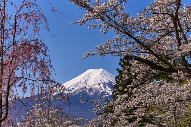 Private tour to Mount Fuji with an English driver from Tokyo - Chureito Pagoda and the famous Fuji photograph