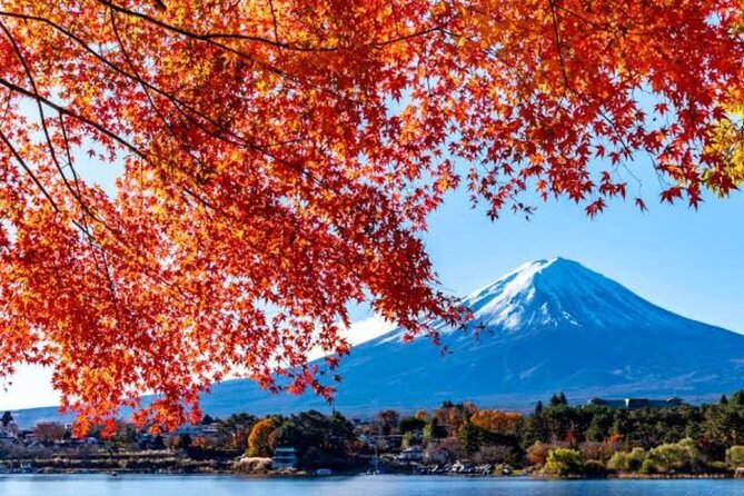 Private tour to Mount Fuji with an English driver from Tokyo - Fujiyoshida and Fujikawaguchiko towns