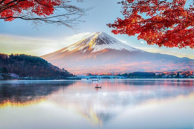 Private Tour to Mt. Fuji and Hakone (Fully Licenced Operator) - Key points to know before booking