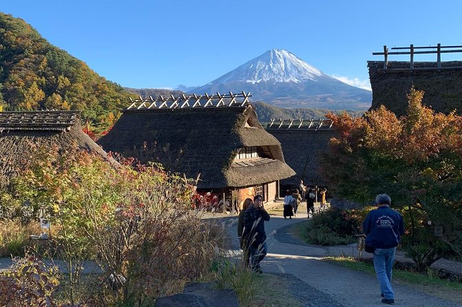 Private Tour to Mt. Fuji and Hakone (Fully Licenced Operator) - The two route choices